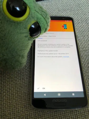Pal waiting beside the phone while the download continues.