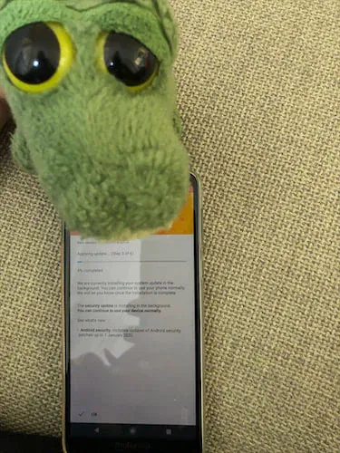 Pal resting on the phone as another reboot starts.