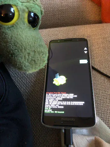Pal perched near the completed update notice.