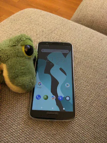 Pal curled up after the LineageOS install finishes.