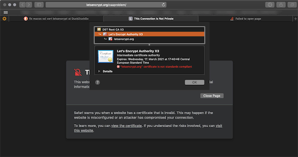 Safari complaining about a not standards compliant cert